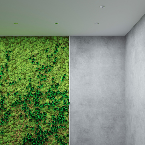 Indoor Lighting 3