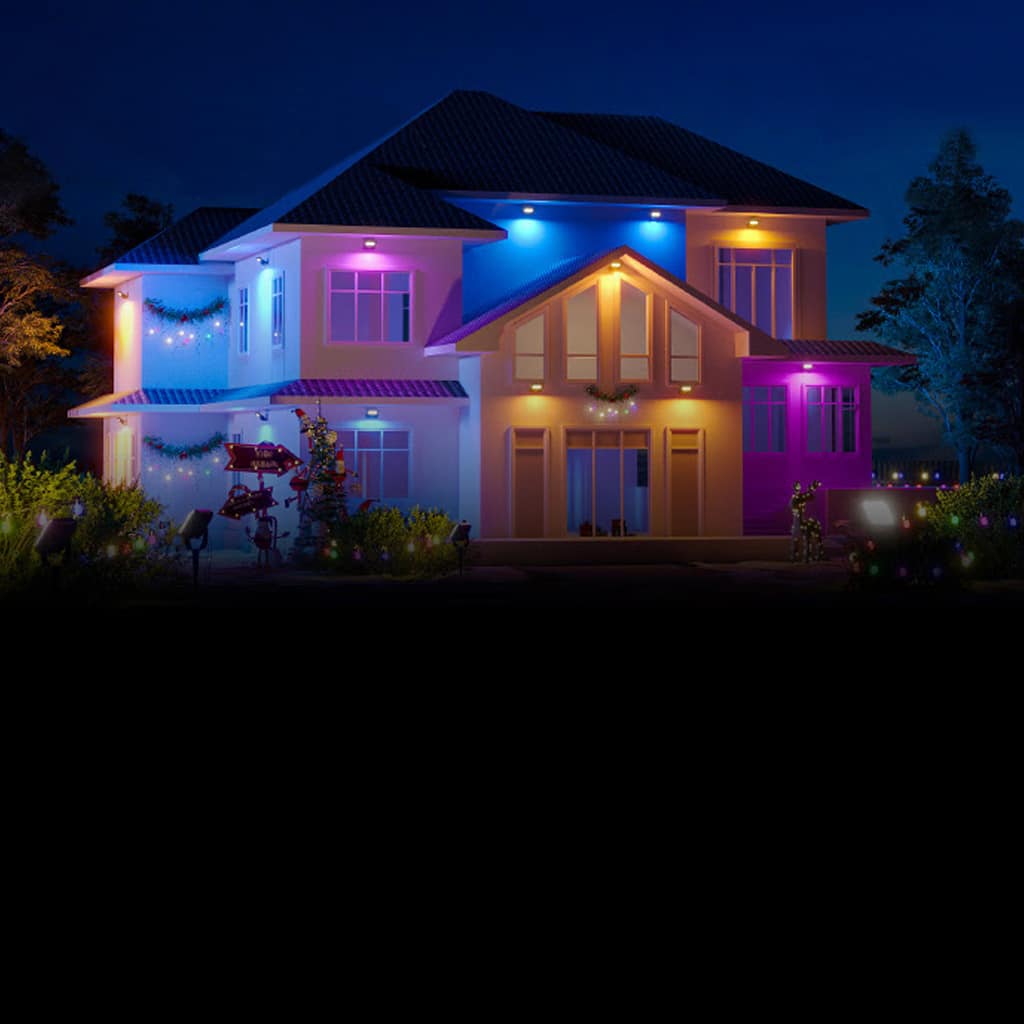 Neons 1